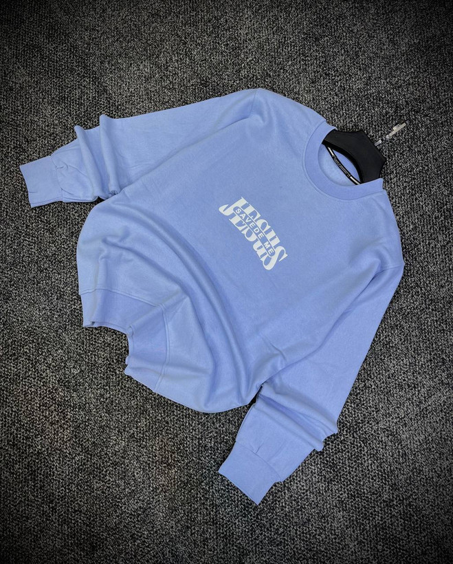 دورس پاییزه مردانه سه نخ پنبه گرم بالا گرافیکی رنگ ابی پاستیلی حامو SAVEDE ME | Hamo Cotton Sweatshirt